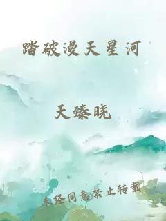 踏破漫天星河