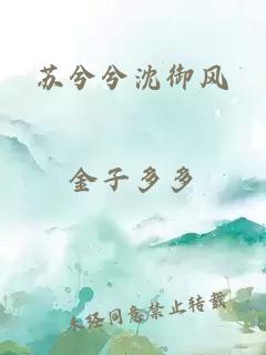 苏兮兮沈御风