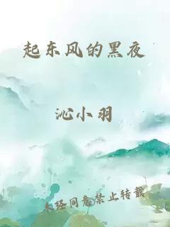 起东风的黑夜