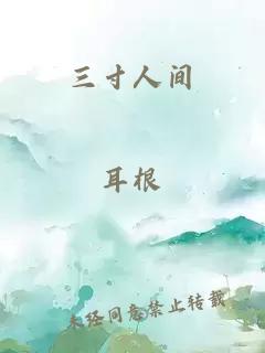 三寸人间