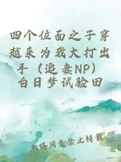 四个位面之子穿越来为我大打出手（追妻NP）