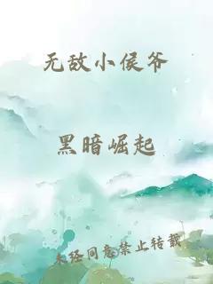 无敌小侯爷