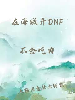 在海贼开DNF