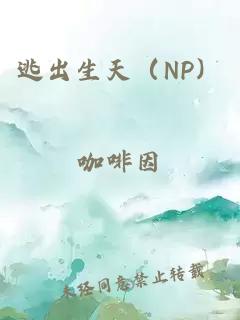 逃出生天（NP）